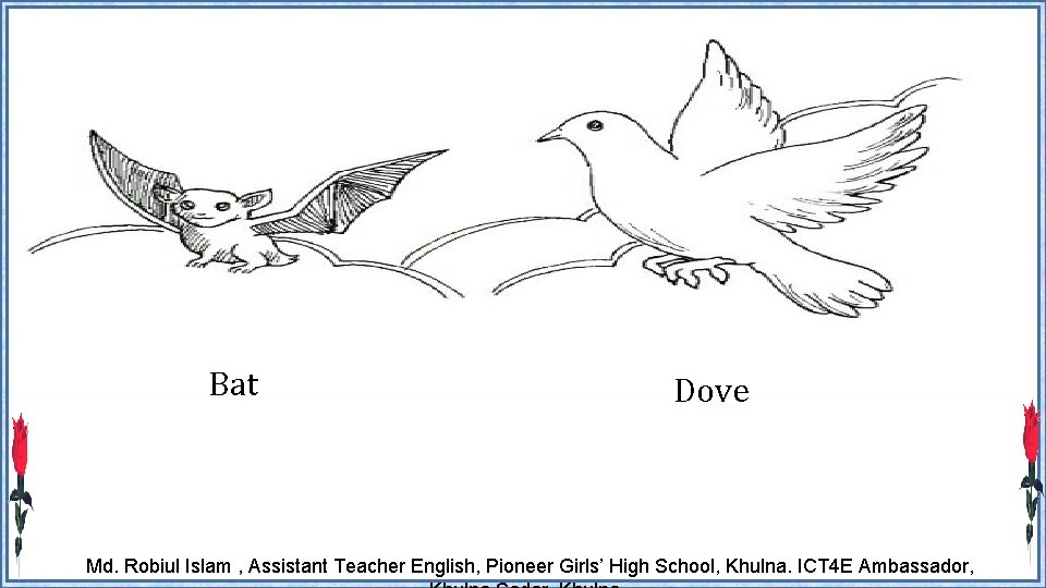 Bat Dove Md. Robiul Islam , Assistant Teacher English, Pioneer Girls’ High School, Khulna.