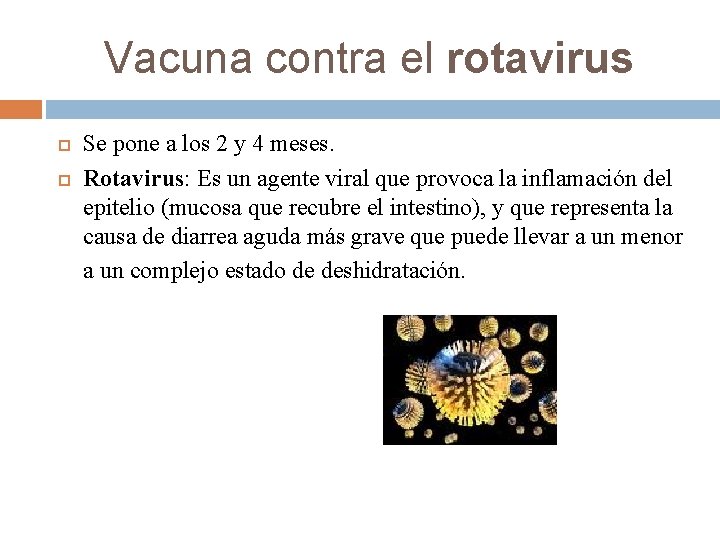 Vacuna contra el rotavirus Se pone a los 2 y 4 meses. Rotavirus: Es
