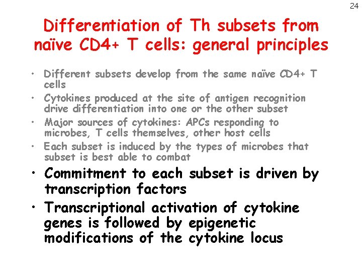 24 Differentiation of Th subsets from naïve CD 4+ T cells: general principles •