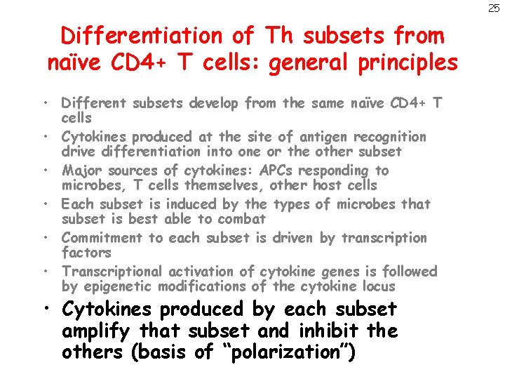 25 Differentiation of Th subsets from naïve CD 4+ T cells: general principles •