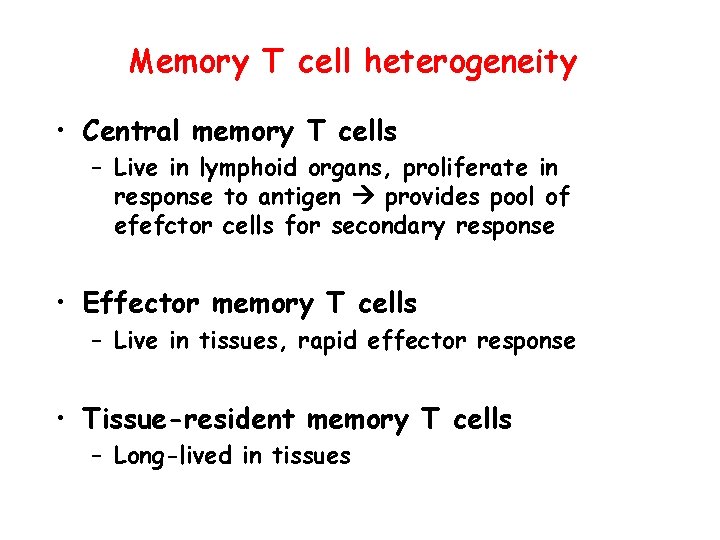 Memory T cell heterogeneity • Central memory T cells – Live in lymphoid organs,