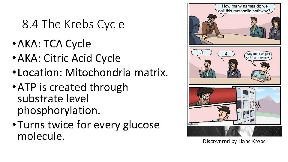 8. 4 The Krebs Cycle • AKA: TCA Cycle • AKA: Citric Acid Cycle