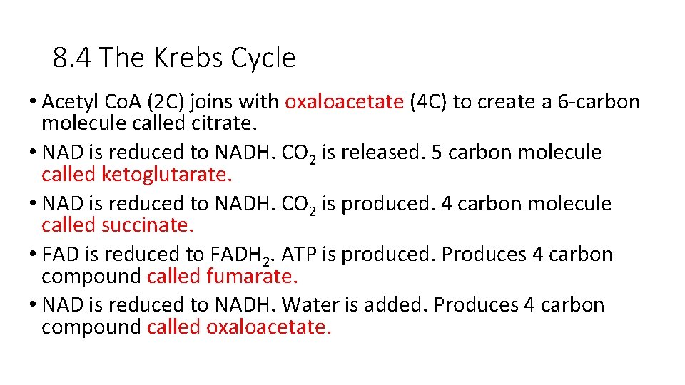 8. 4 The Krebs Cycle • Acetyl Co. A (2 C) joins with oxaloacetate