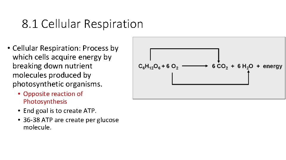 8. 1 Cellular Respiration • Cellular Respiration: Process by which cells acquire energy by