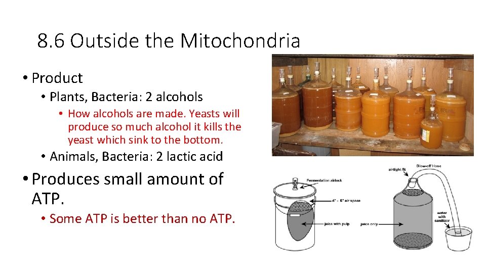 8. 6 Outside the Mitochondria • Product • Plants, Bacteria: 2 alcohols • How