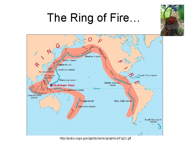 The Ring of Fire… http: //pubs. usgs. gov/gip/dynamic/graphics/Fig 22. gif 