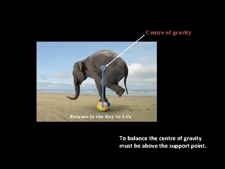 Centre of gravity To balance the centre of gravity must be above the support