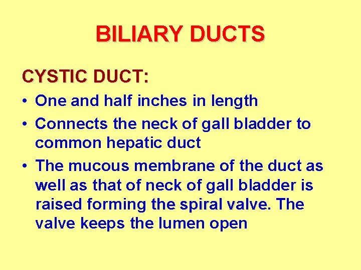 BILIARY DUCTS CYSTIC DUCT: • One and half inches in length • Connects the