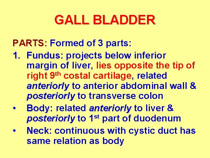 GALL BLADDER PARTS: Formed of 3 parts: 1. Fundus: projects below inferior margin of