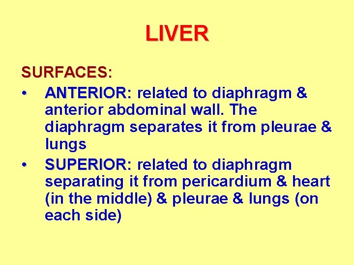 LIVER SURFACES: • ANTERIOR: related to diaphragm & anterior abdominal wall. The diaphragm separates