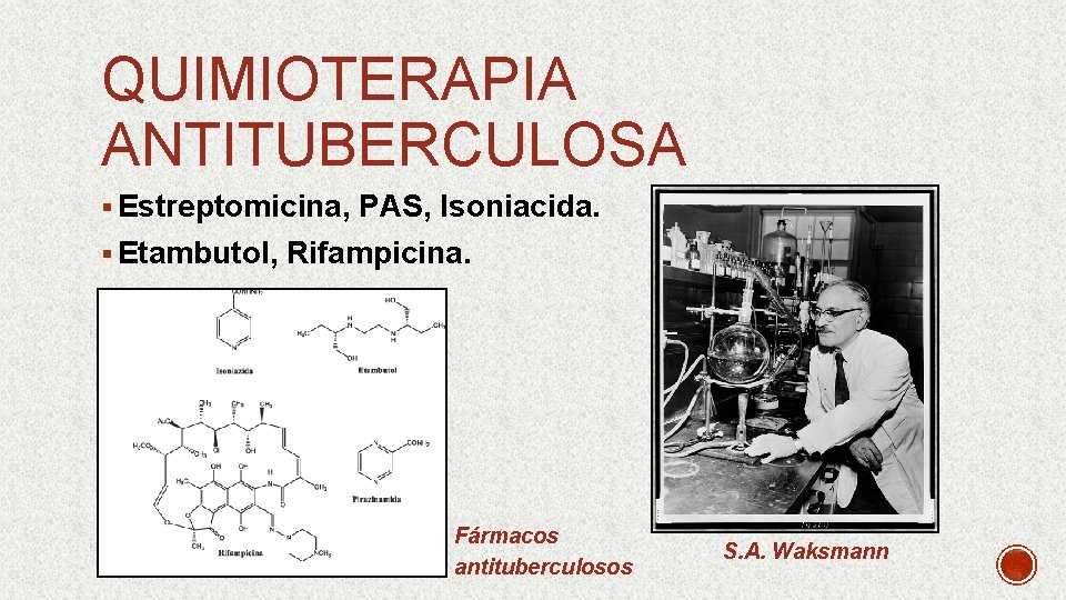 QUIMIOTERAPIA ANTITUBERCULOSA § Estreptomicina, PAS, Isoniacida. § Etambutol, Rifampicina. Fármacos antituberculosos S. A. Waksmann