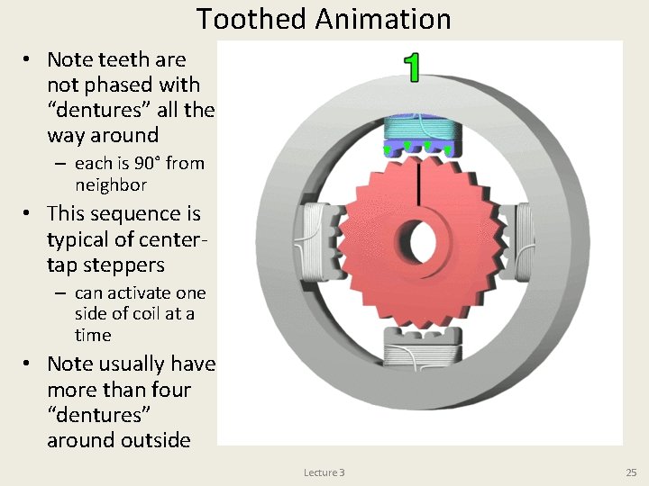 Toothed Animation • Note teeth are not phased with “dentures” all the way around