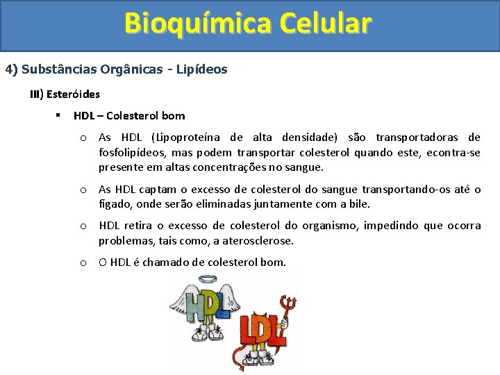 Bioquímica Celular 4) Substâncias Orgânicas - Lipídeos III) Esteróides § HDL – Colesterol bom