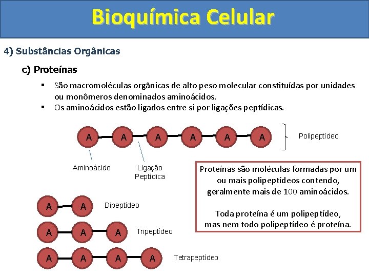 Bioquímica Celular 4) Substâncias Orgânicas c) Proteínas São macromoléculas orgânicas de alto peso molecular