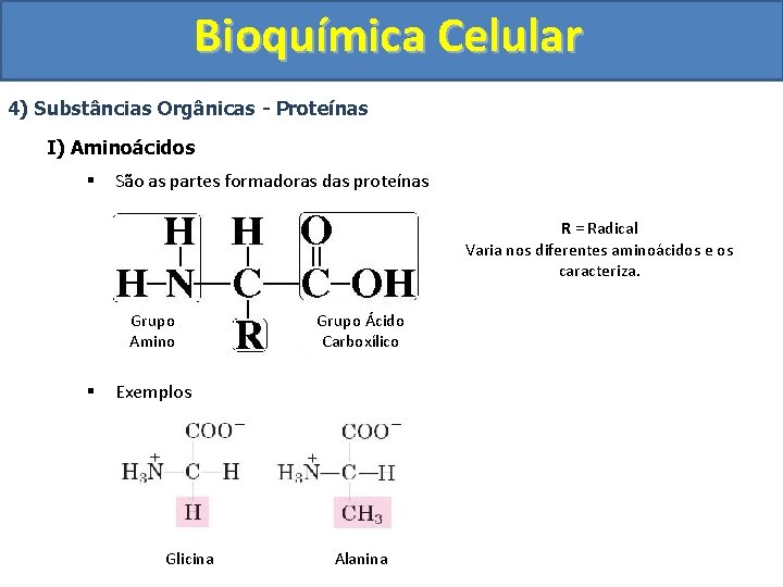 Bioquímica Celular 4) Substâncias Orgânicas - Proteínas I) Aminoácidos § São as partes formadoras