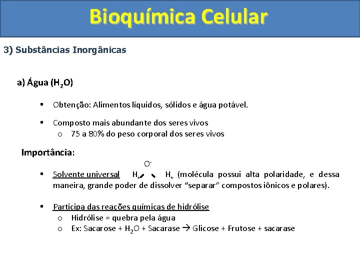 Bioquímica Celular 3) Substâncias Inorgânicas a) Água (H 2 O) § Obtenção: Alimentos líquidos,