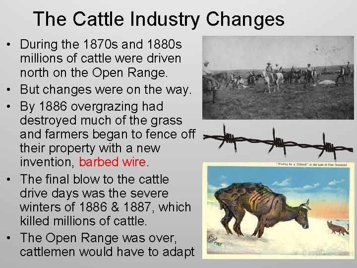 The Cattle Industry Changes • During the 1870 s and 1880 s millions of