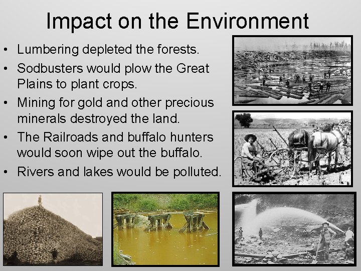 Impact on the Environment • Lumbering depleted the forests. • Sodbusters would plow the