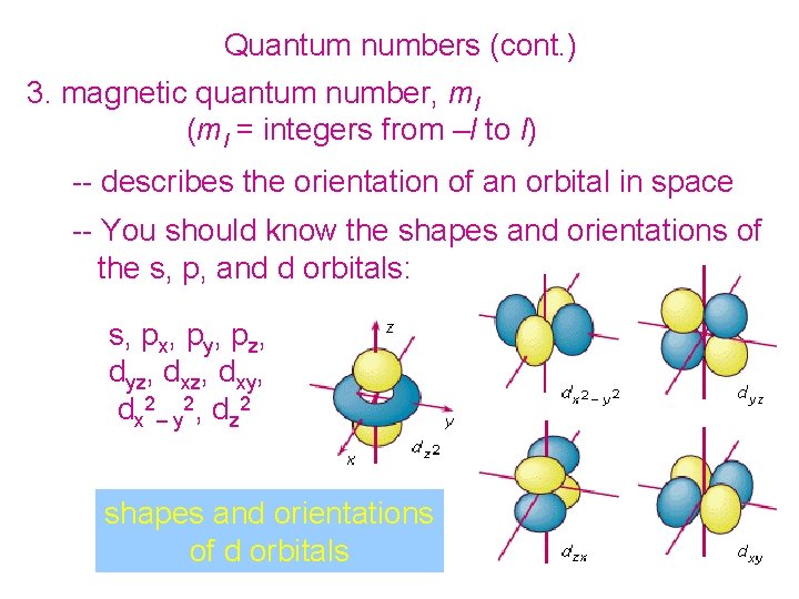 Quantum numbers (cont. ) 3. magnetic quantum number, ml (ml = integers from –l