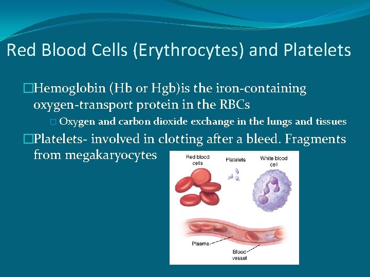 Red Blood Cells (Erythrocytes) and Platelets �Hemoglobin (Hb or Hgb)is the iron-containing oxygen-transport protein