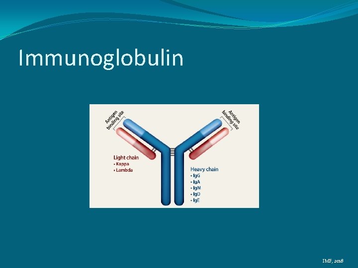Immunoglobulin IMF, 2018 