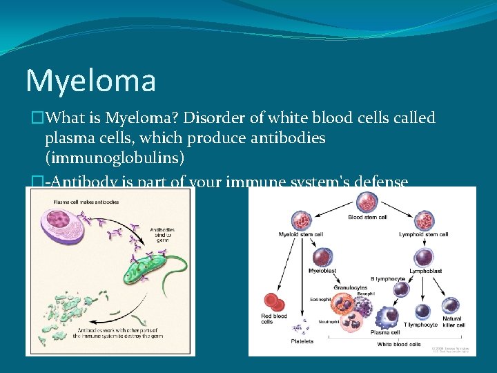 Myeloma �What is Myeloma? Disorder of white blood cells called plasma cells, which produce