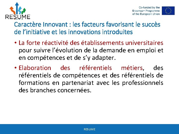 Caractère Innovant : les facteurs favorisant le succès de l’initiative et les innovations introduites