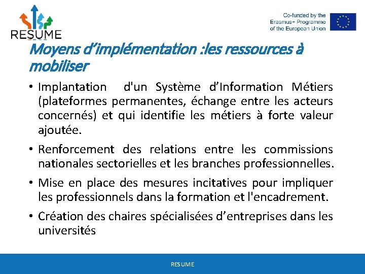 Moyens d’implémentation : les ressources à mobiliser • Implantation d'un Système d’Information Métiers (plateformes