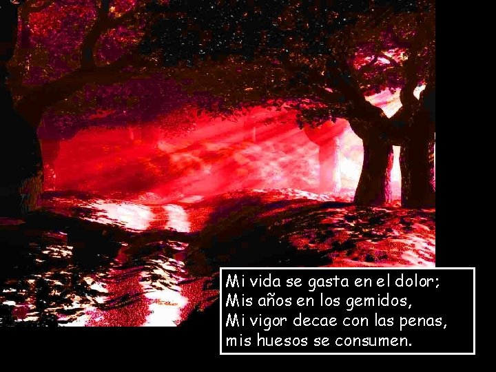 Mi vida se gasta en el dolor; Mis años en los gemidos, Mi vigor