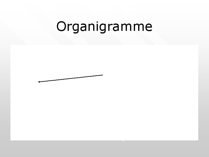 Organigramme 