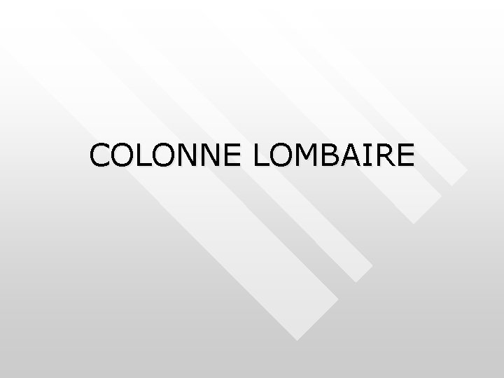 COLONNE LOMBAIRE COLONNE LOMBAIRE