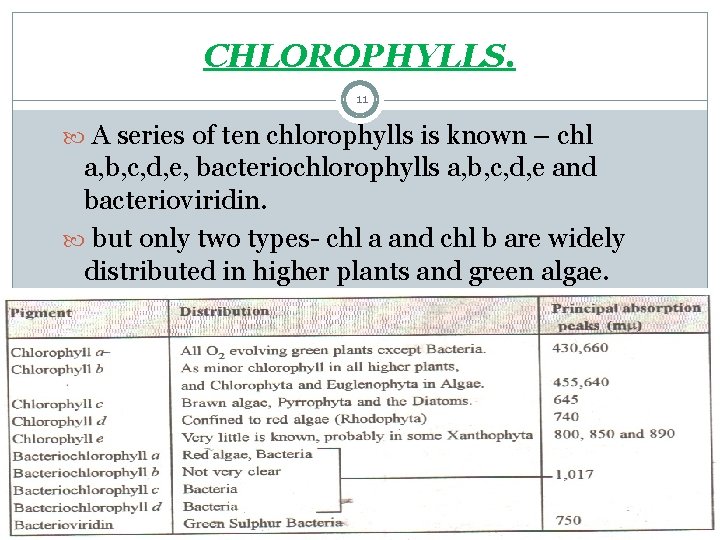 CHLOROPHYLLS. 11 A series of ten chlorophylls is known – chl a, b, c,