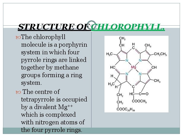 STRUCTURE OF CHLOROPHYLL. 12 The chlorophyll molecule is a porphyrin system in which four