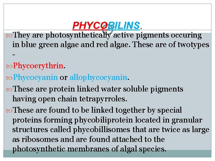 PHYCOBILINS. 28 They are photosynthetically active pigments occuring in blue green algae and red