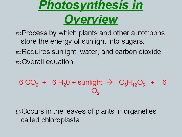 Photosynthesis in Overview Process by which plants and other autotrophs store the energy of