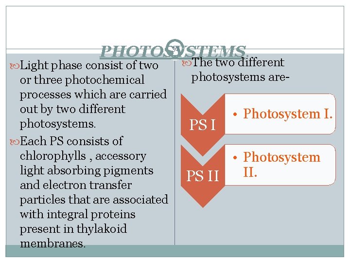 PHOTOSYSTEMS. 30 Light phase consist of two or three photochemical processes which are carried