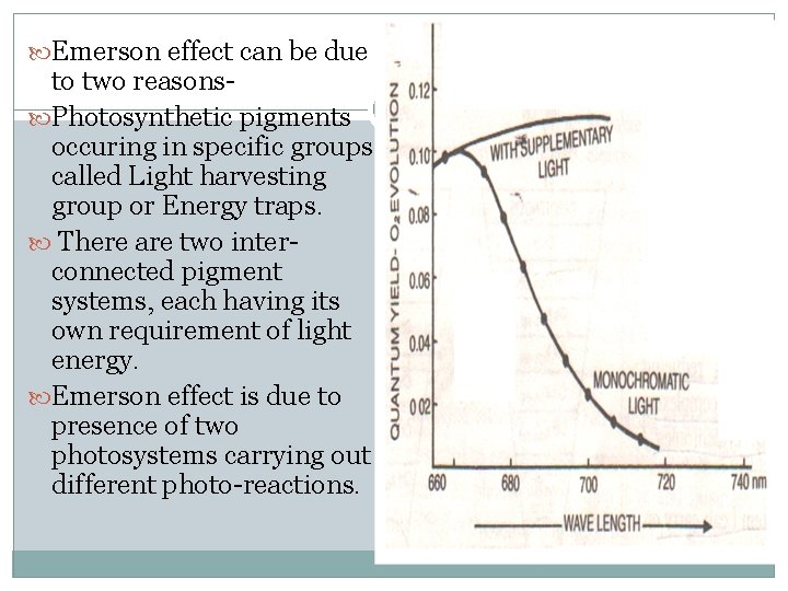  Emerson effect can be due to two reasons Photosynthetic pigments occuring in specific