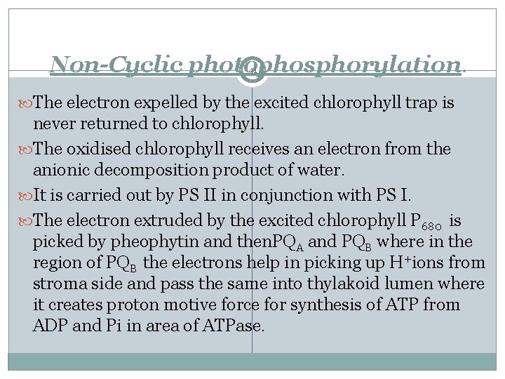Non-Cyclic photophosphorylation. 41 The electron expelled by the excited chlorophyll trap is never returned