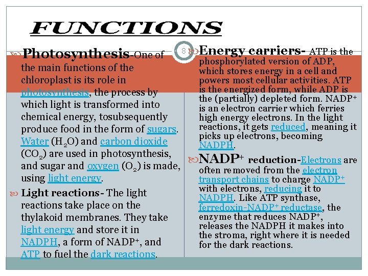  Photosynthesis-One of 8 Energy carriers- ATP is the phosphorylated version of ADP, the