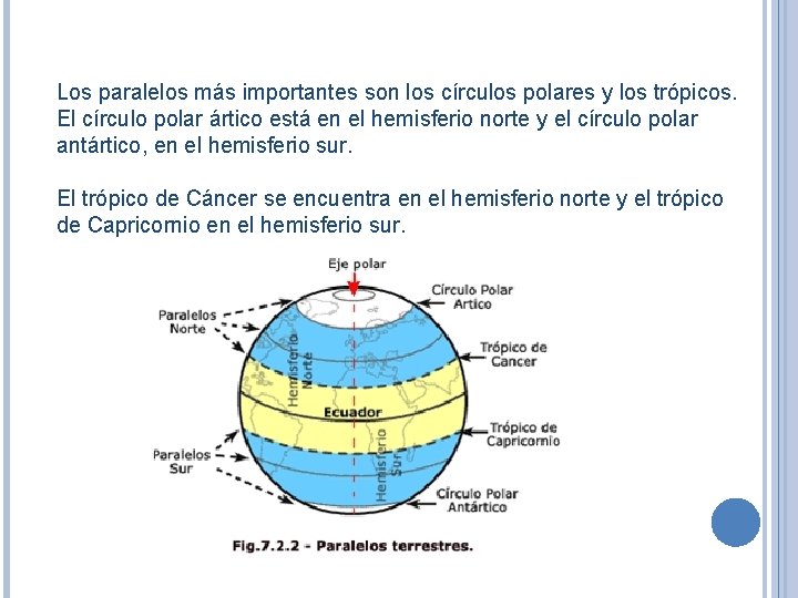 Los paralelos más importantes son los círculos polares y los trópicos. El círculo polar