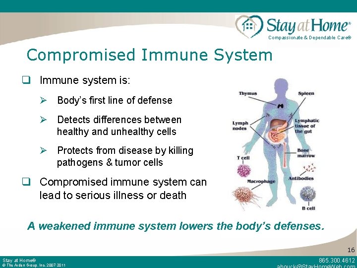 Compassionate & Dependable Care® Compromised Immune System q Immune system is: Ø Body’s first