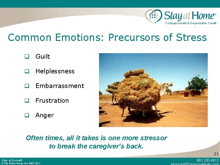 Compassionate & Dependable Care® Common Emotions: Precursors of Stress q Guilt q Helplessness q