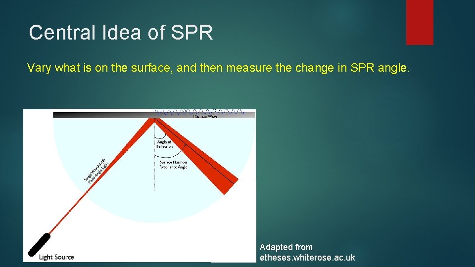 Central Idea of SPR Vary what is on the surface, and then measure the