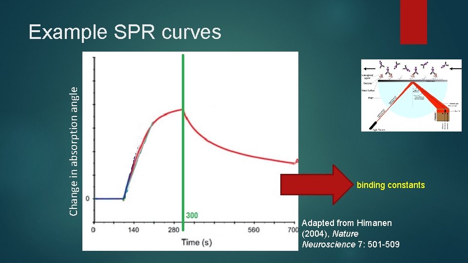 Change in absorption angle Example SPR curves binding constants Adapted from Himanen (2004), Nature