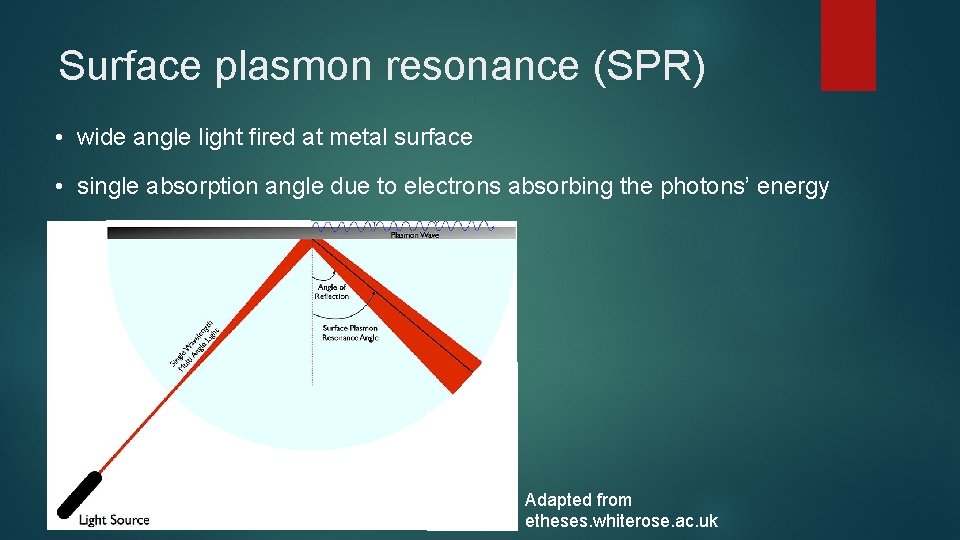 Surface plasmon resonance (SPR) • wide angle light fired at metal surface • single