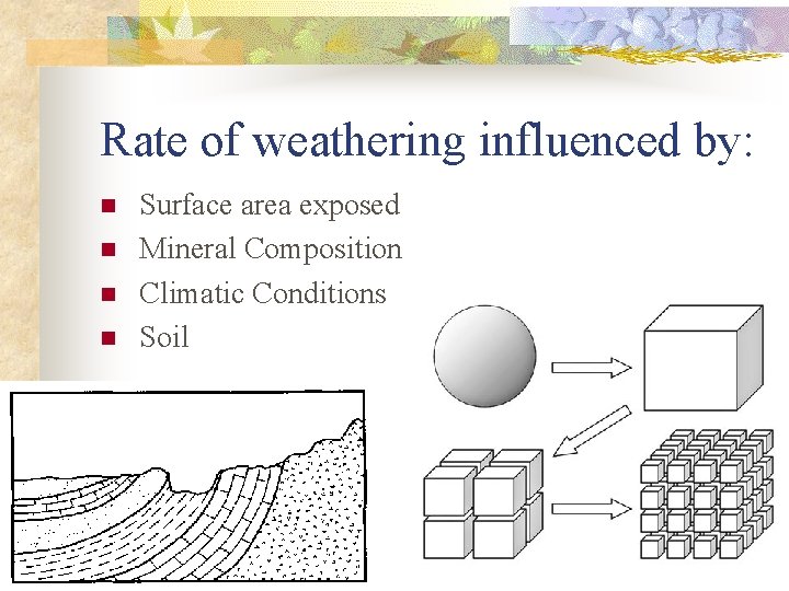 Rate of weathering influenced by: n n Surface area exposed Mineral Composition Climatic Conditions