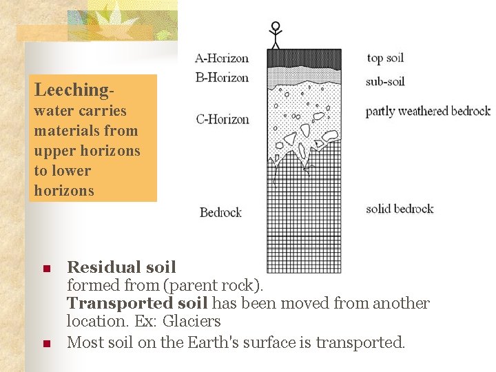 Leechingwater carries materials from upper horizons to lower horizons n n Residual soil is