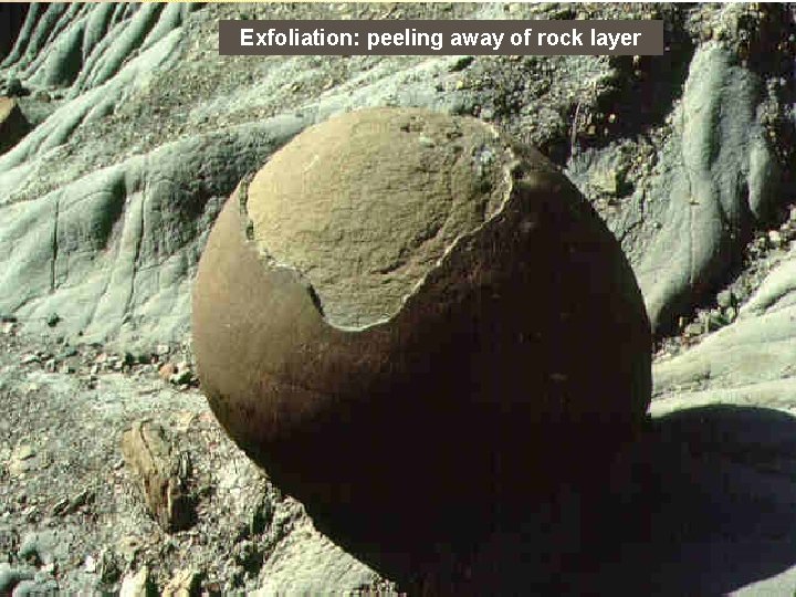 Exfoliation: peeling away of rock layer 