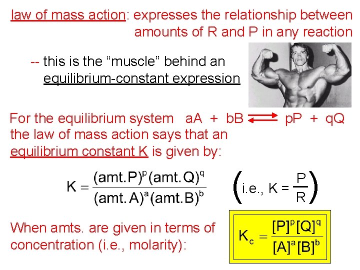 law of mass action: expresses the relationship between amounts of R and P in