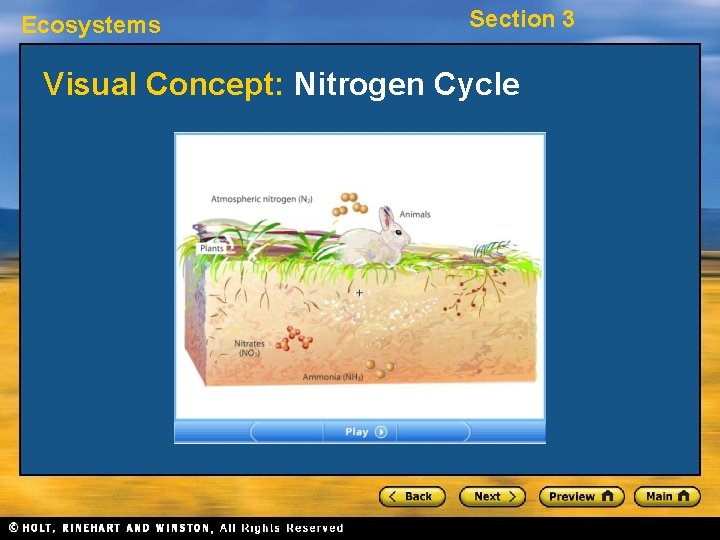 Ecosystems Section 3 Visual Concept: Nitrogen Cycle 